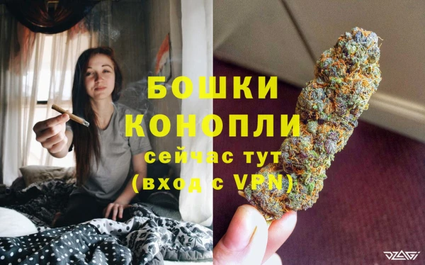 ПСИЛОЦИБИНОВЫЕ ГРИБЫ Каменногорск