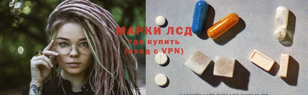 ПСИЛОЦИБИНОВЫЕ ГРИБЫ Каменногорск