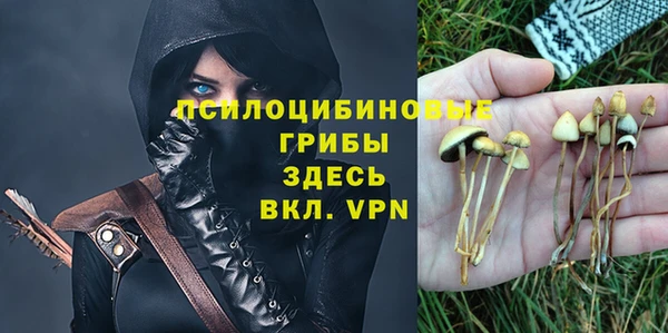 каннабис Каменка