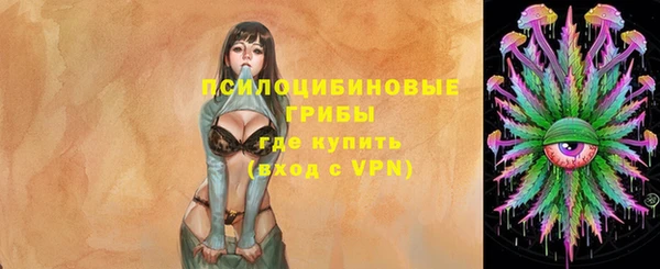 ПСИЛОЦИБИНОВЫЕ ГРИБЫ Каменногорск