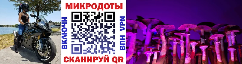 Галлюциногенные грибы ЛСД  Купить закладки  Чистополь 