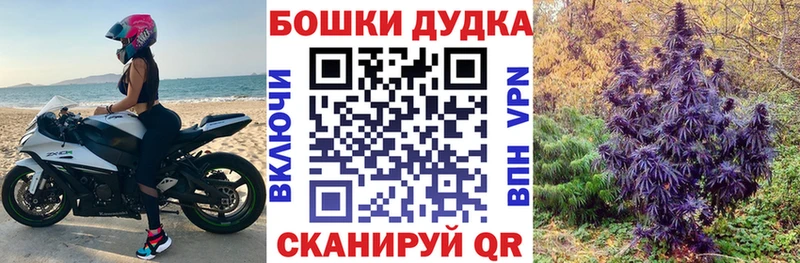 Купить где  Чистополь  Бошки Шишки планчик 